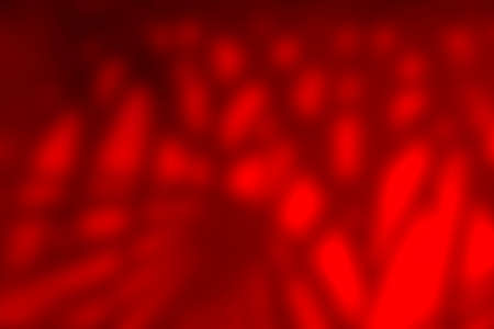 Abstract Shadow  leaves  reflect on a red wall surface for blurred backgrounds. image