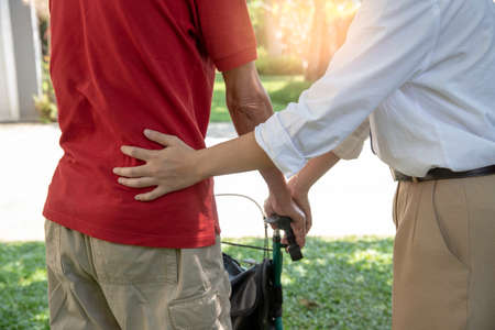 Woman Assisting Her Disabled Father Walking In Park . healthy conceptの写真素材