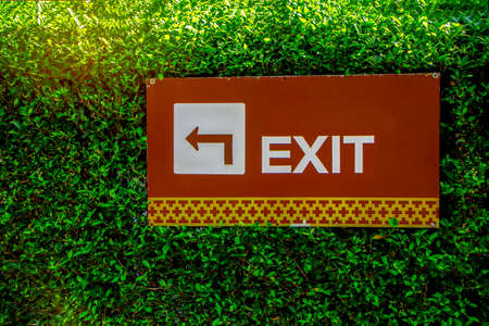 Exit with arrow sign on  green leaf wall background.. imageの写真素材