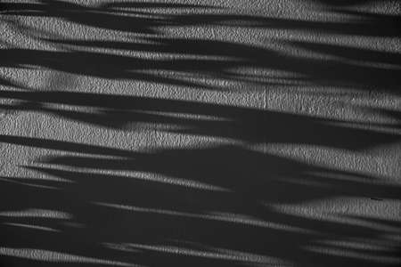 black and grey  texture abstract background of leaf shadow on concrete wall. imageの写真素材