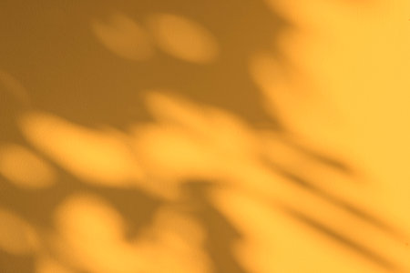 Yellow Leaves Shadow Overlay On Wall Texture Background. Abstract Natural Sun Light Foliage Backdrop. Nature Branch Shadow Reflection On Plaster Stucco Wall.の写真素材