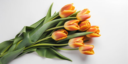 Bouquet of orange tulips on a white background, top viewの写真素材