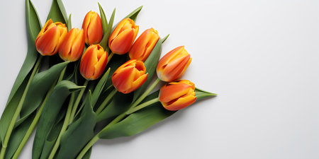 Bouquet of orange tulips on white background, top viewの写真素材