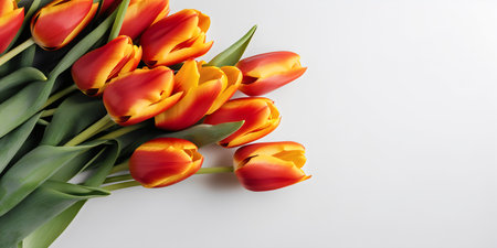 Bouquet of red and yellow tulips on white background.の写真素材