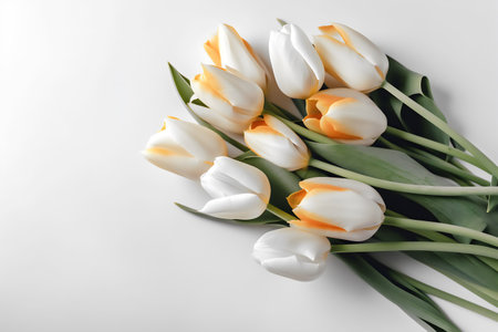 Bouquet of white tulips on a white background, top viewの写真素材