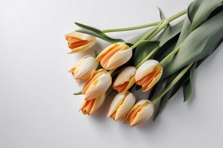 Bouquet of white and orange tulips on a white backgroundの写真素材