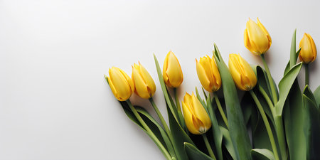 top view of yellow tulips on gray background, space for textの写真素材