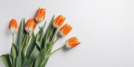 Bouquet of orange tulips on a white background, top viewの写真素材