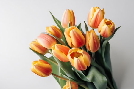 Bouquet of orange tulips on a white background. Spring flowers.の写真素材