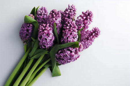 Bouquet of purple hyacinths on white background, top viewの写真素材