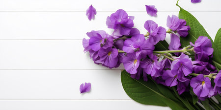 Purple flowers and green leaves on white wooden background, top viewの写真素材