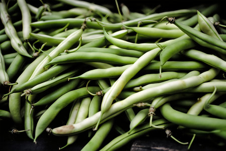 Green beans on a black background. Selective focus. Toned.の写真素材