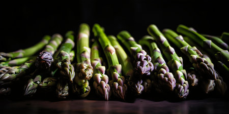 Bunch of fresh green asparagus on a dark background.の写真素材