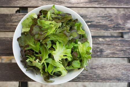 Lettuce cut in small pieces in bowl on wood table top viewの写真素材