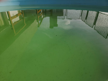 Swimming pool with green waterの写真素材