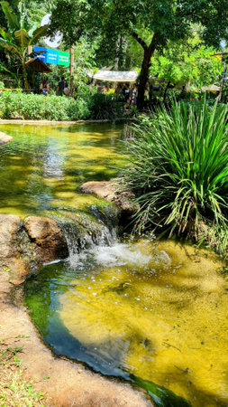 Beautiful pond with small waterfall, in garden, green grass and plantsの写真素材