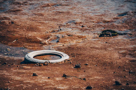 Pollution, and waste, tire thrown into the wild.
