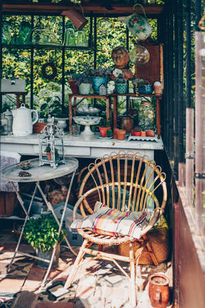 Decorative objects and plants in a veranda