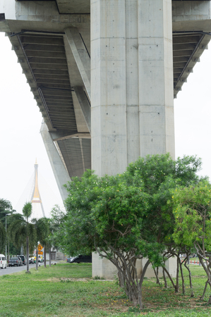 Complex bridge and motorwayの写真素材