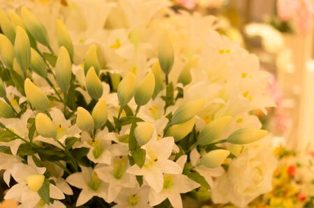 Artificial flower for interior decorationの写真素材
