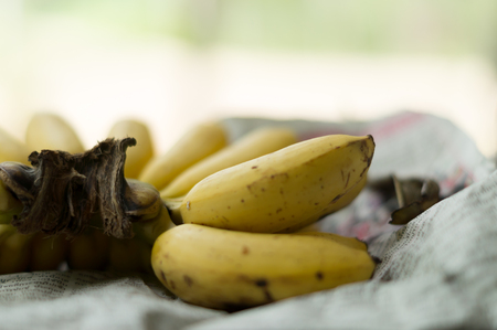 Bananas are available on the marketの写真素材