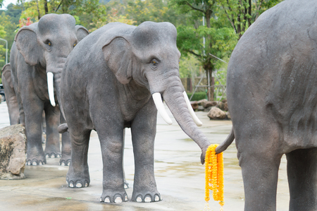 Herd of elephant in the countryのeditorial素材