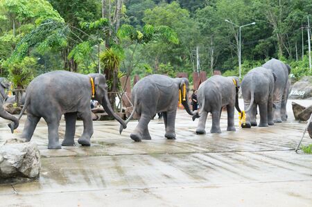 Herd of elephant in the countryの写真素材