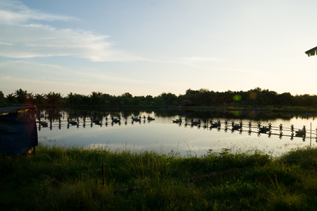 Sunset in countryside in summerの写真素材