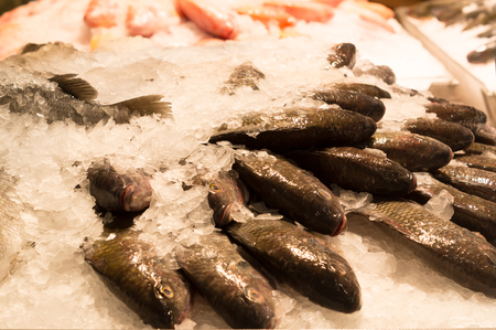 a number of pink and black  tilapia fishes are on sale in supermarketの写真素材