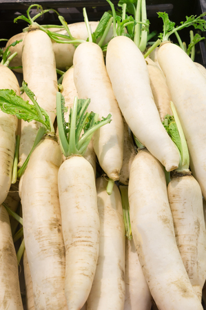 White radish stacked on sale in supermarket, fresh sweet radishes, healthy sweet radishの写真素材