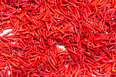 Red chilli exposed to sunlight to get dried, red chilli with shadow as backgroundの写真素材
