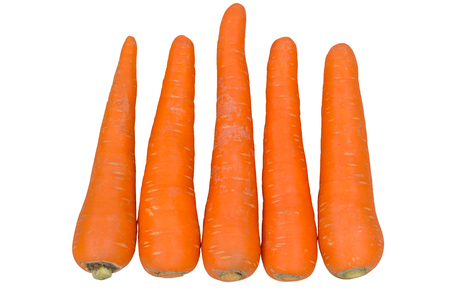 Group of carrots in a row isolated on white background with clipping path, isolated pictureの写真素材