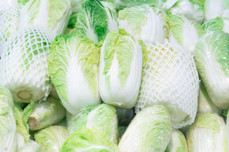 The stack of fresh Chinese cabbage in harvest season pertains to China nation. The photo of vegetable background or backdropの写真素材
