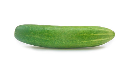 Single green fresh cucumber vegetable is isolated on white background with clipping path.の写真素材