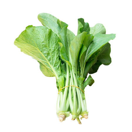 Fresh Cantonese green lettuce in bundle is isolated on white background with clipping path.の写真素材