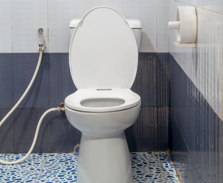 White toilet bowl with bidet sprayer in resort or hotel toilet was taken after use.