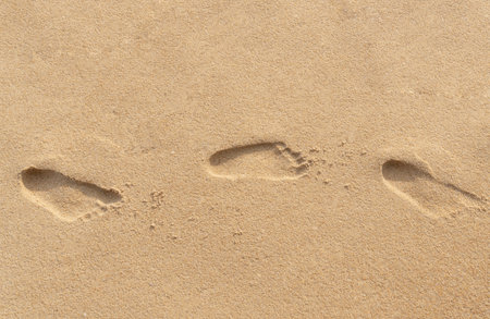 Small child footprints are on brown sand at the beach.の写真素材