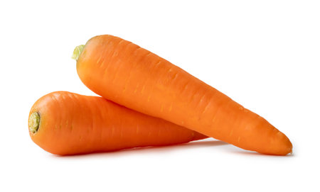 Two fresh orange carrots in stack are isolated on white background with clipping path. Close up of healthy vegetable rootの写真素材