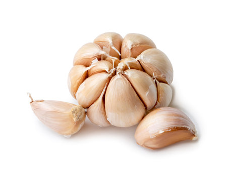 Single fresh white garlic bulb with segments is isolated on white background with clipping path, Thai herb is great for healing several severe diseases, heart attack. Top view and close up photoの写真素材