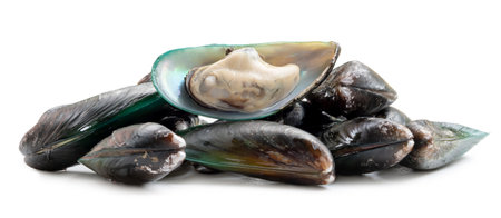 steamed or cooked food of fresh beautiful green mussels in stack is isolated on white background...