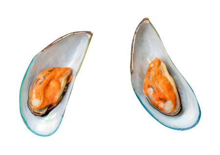 Top view set of green mussels is isolated on white background with clipping path.の写真素材