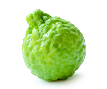 Side view of single fresh green bergamot fruit is isolated on white background with clipping path.の写真素材