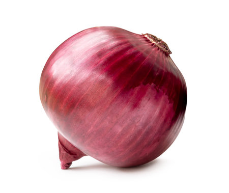 Side view of big red or purple onion bulb is isolated on white background with clipping path.の写真素材