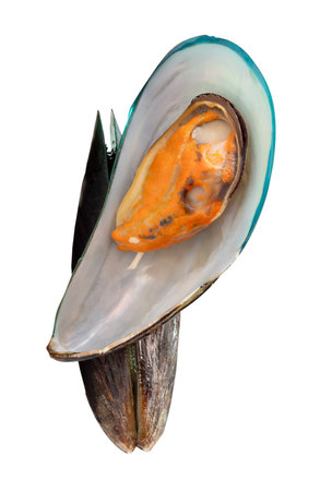 Top view of cooked or steamed green mussels is isolated on white background with clipping path.