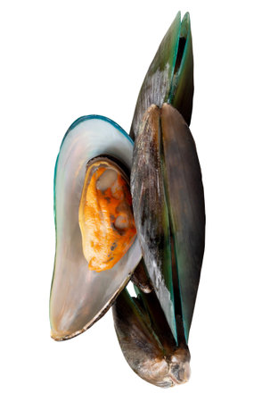 Top view of cooked or steamed green mussels in stack is isolated on white background with clipping path.の写真素材