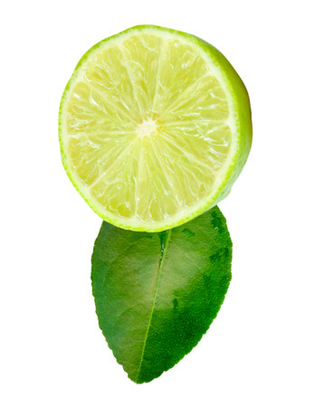 Front view of fresh green lemon half in circle shape with green leaf is isolated on white background with clipping path.の写真素材