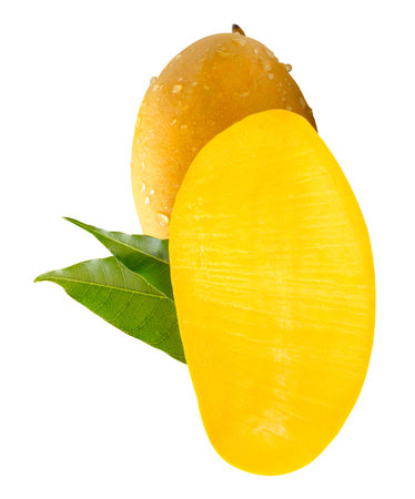 Single ripe yellow mango fruit and half with green leaves and water droplets in stack is isolated on white background with clipping path.の写真素材
