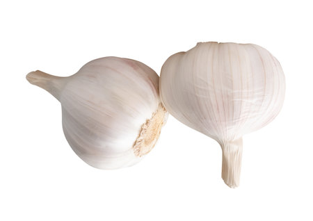 Side view of two white garlic bulbs in stack is isolated on white background with clipping path.の写真素材