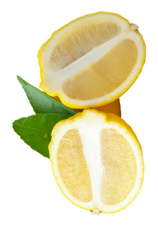 Front view of ripe yellow lemon fruit with two halves in oval or ellipses in heap is isolated on white background with clipping path.の写真素材