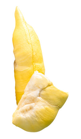 Yellow pulp of ripe durian fruit in stack without peel is isolated on white background with clipping path.の写真素材